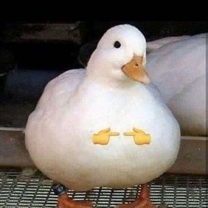 Meet your Posher, Karina